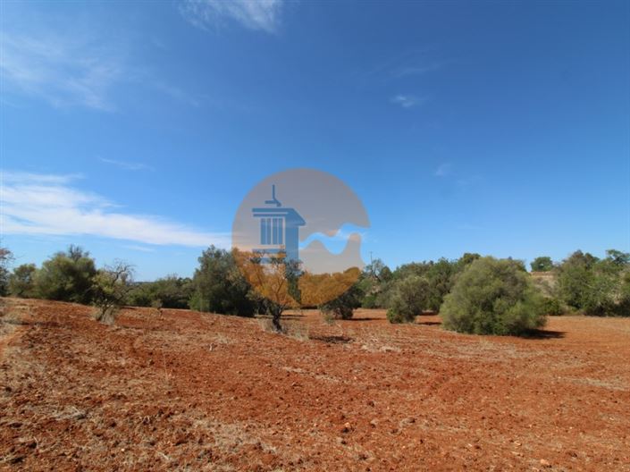 Image No.8-Terrain à vendre à Loule