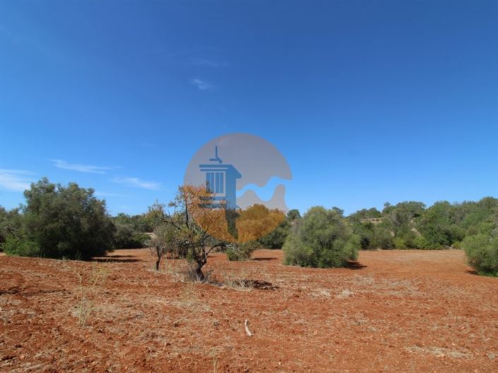 Image No.10-Terrain à vendre à Loule