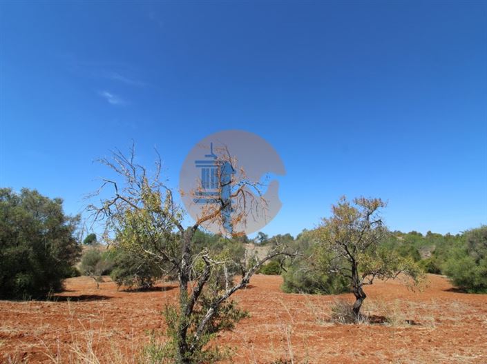 Image No.11-Terrain à vendre à Loule