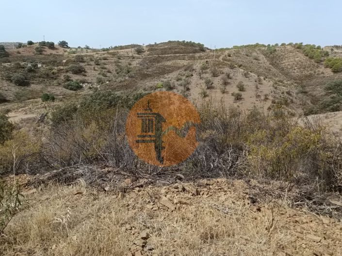 Image No.10-Plot for sale