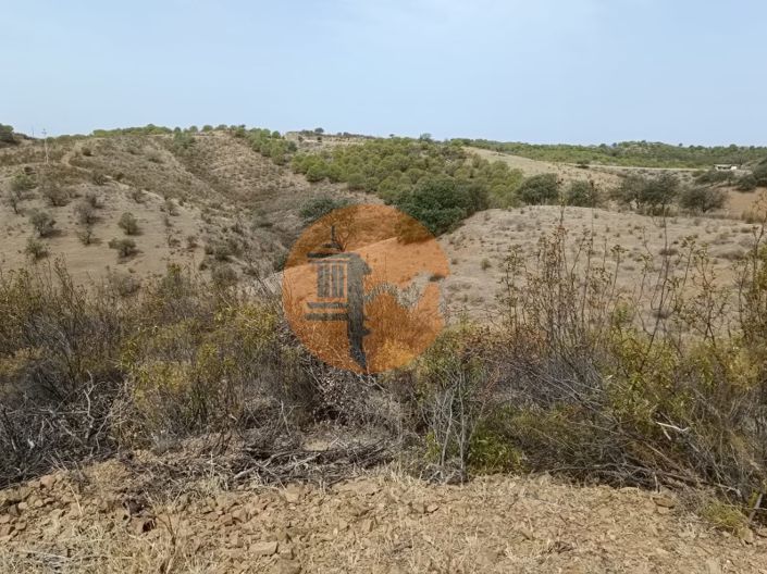 Image No.17-Plot for sale