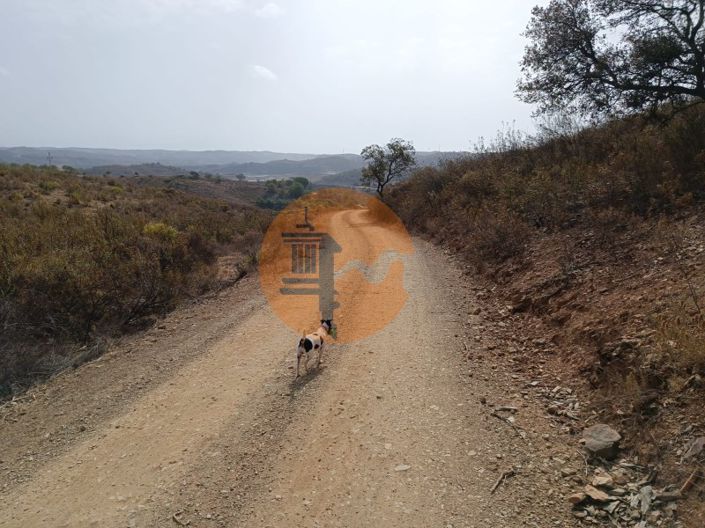 Image No.26-Plot for sale