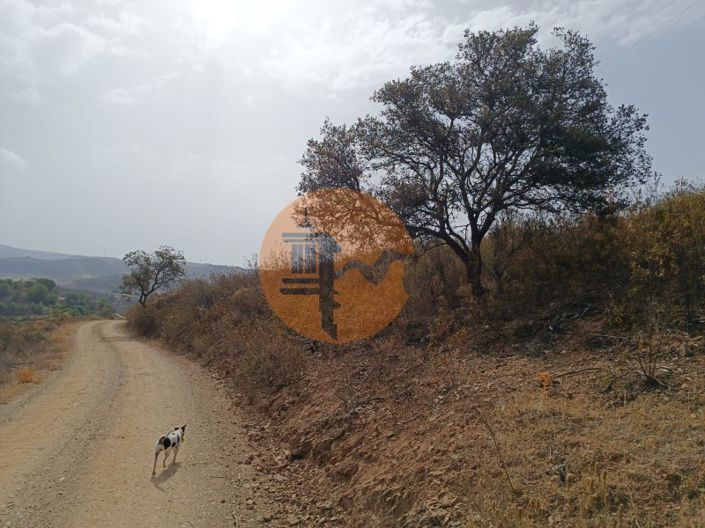 Image No.5-Plot for sale