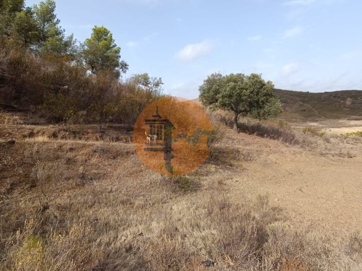 Image No.17-Plot for sale