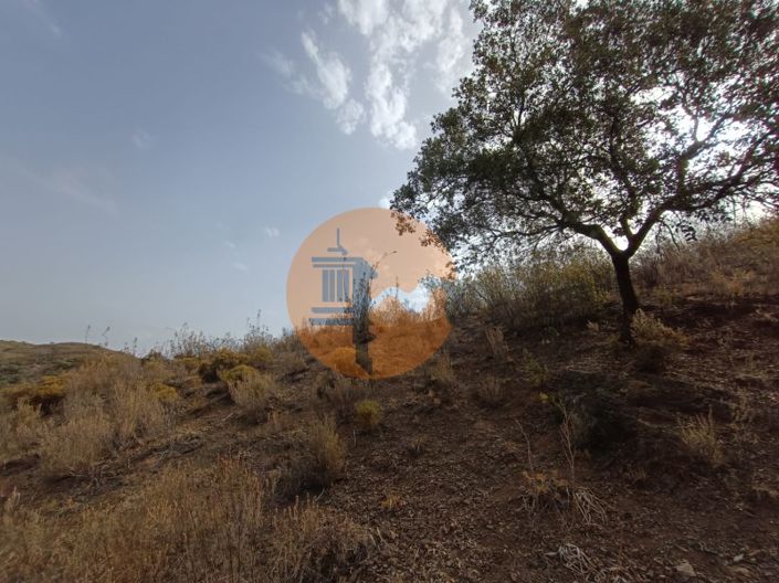 Image No.20-Plot for sale