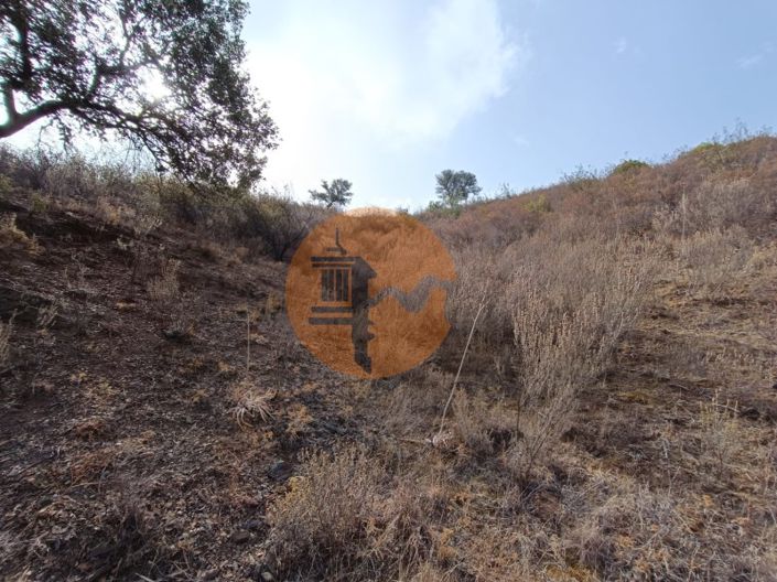 Image No.28-Plot for sale