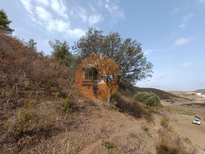 Image No.30-Plot for sale