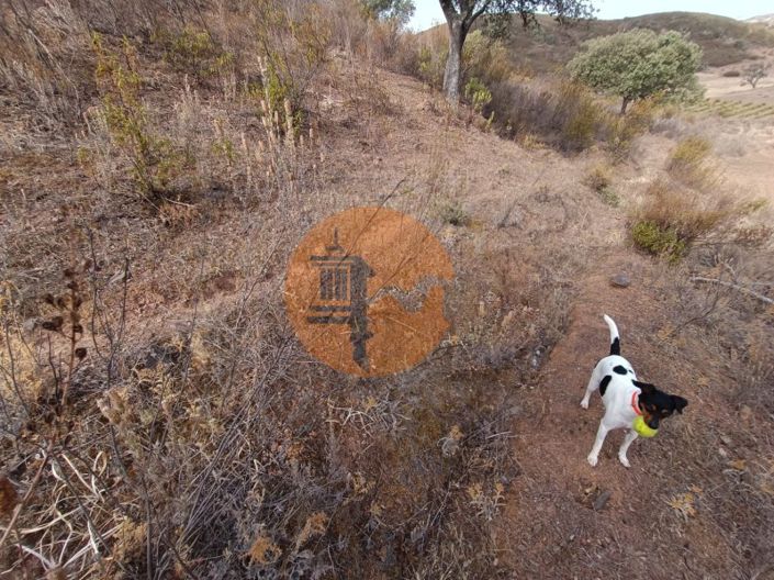 Image No.36-Plot for sale