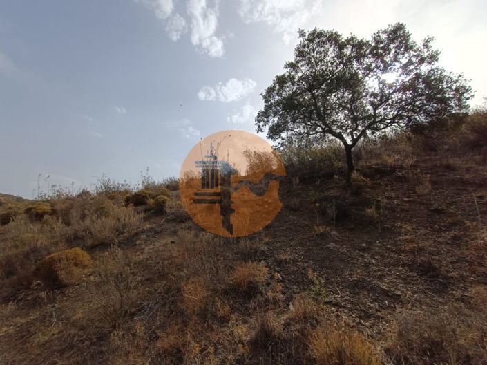 Image No.37-Plot for sale