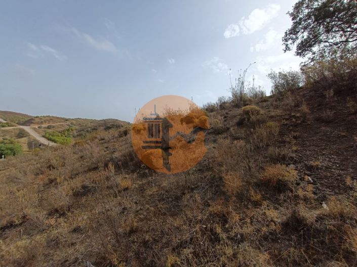 Image No.38-Plot for sale