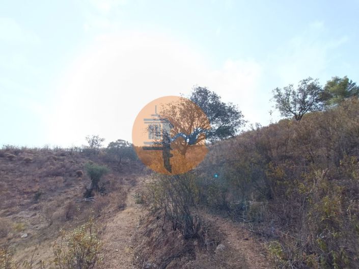 Image No.42-Plot for sale