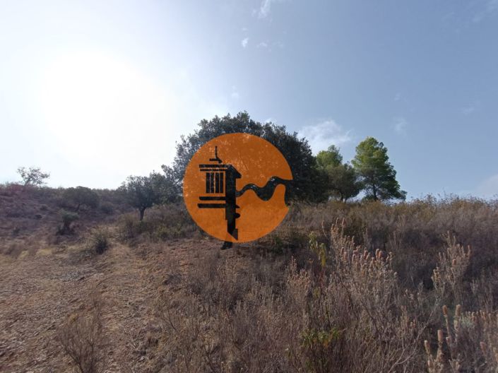 Image No.45-Plot for sale