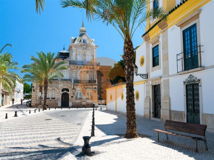 Image No.22-Ferme de 2 chambres à vendre à Faro City