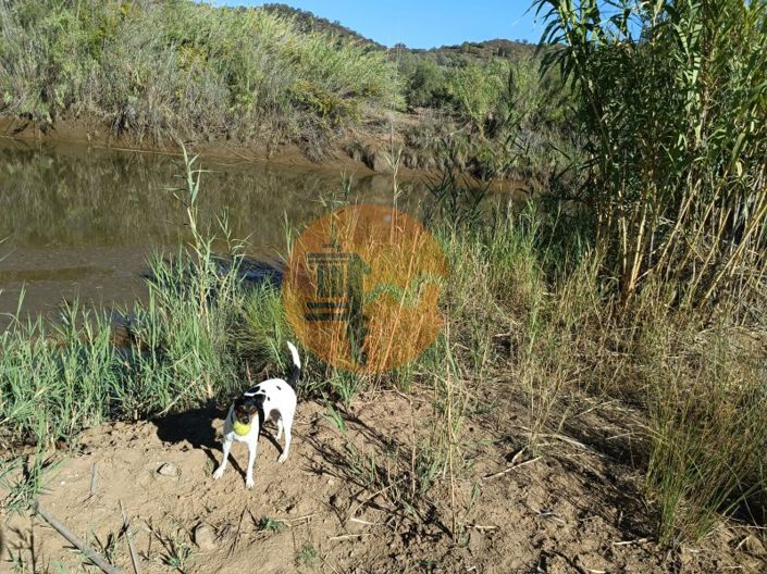 Image No.13-Terrain à vendre à Castro Marim