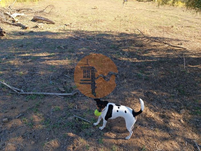 Image No.15-Terrain à vendre à Castro Marim