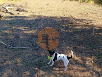 id3f897001-0000-0500-0000-000014f84de0