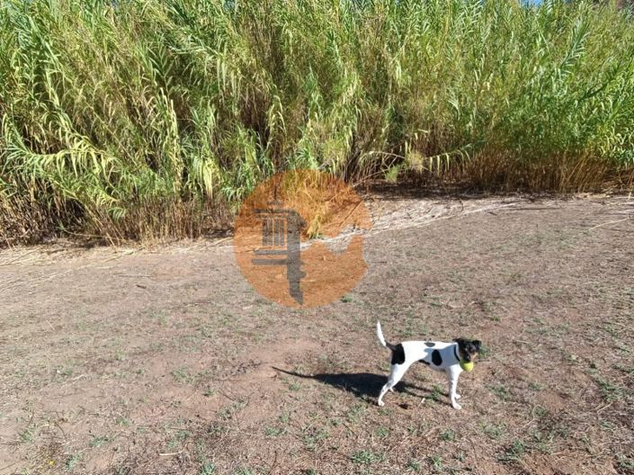 Image No.19-Terrain à vendre à Castro Marim