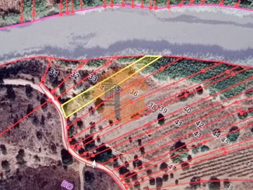 id3f897001-0000-0500-0000-000011d48856