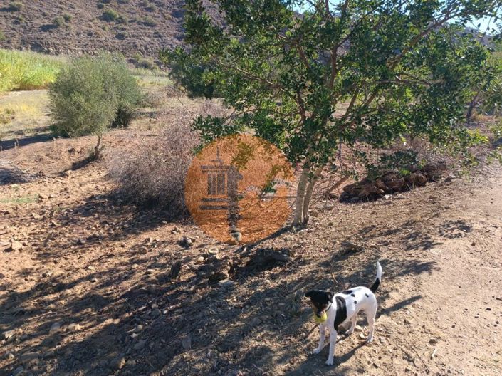 Image No.26-Terrain à vendre à Castro Marim