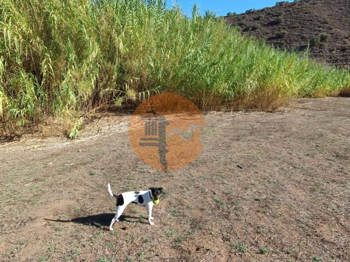 Image No.27-Terrain à vendre à Castro Marim