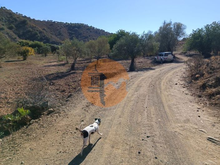 Image No.29-Terrain à vendre à Castro Marim