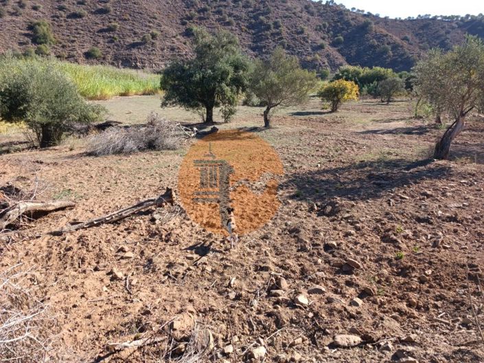 Image No.3-Terrain à vendre à Castro Marim