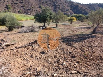 id3f897001-0000-0500-0000-000014f84dd7