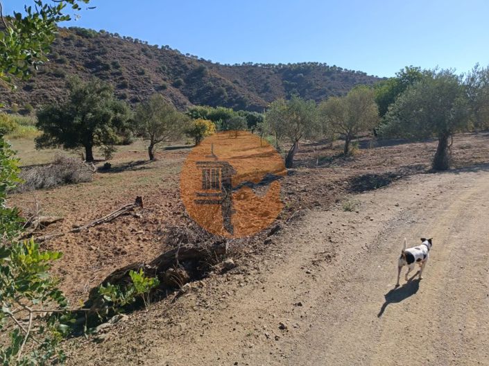 Image No.30-Terrain à vendre à Castro Marim