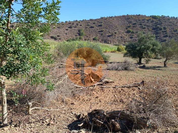 Image No.31-Terrain à vendre à Castro Marim