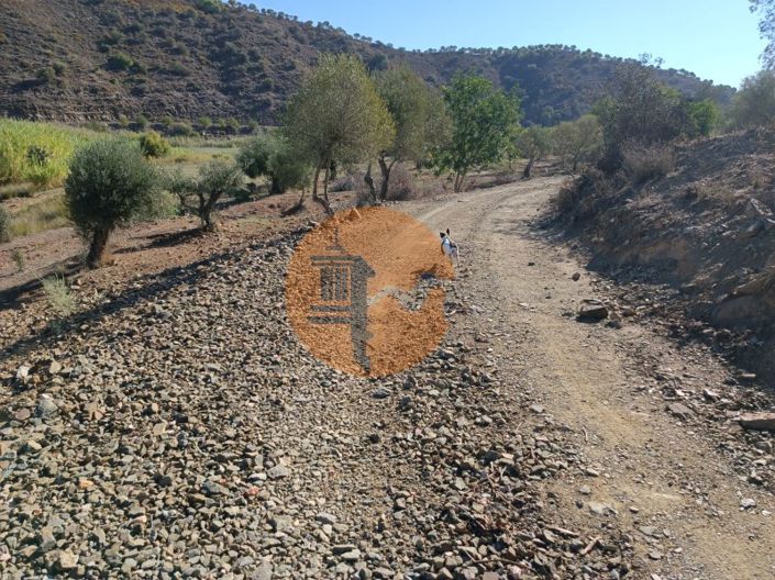 Image No.6-Terrain à vendre à Castro Marim