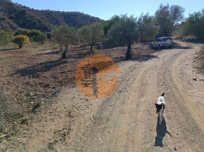 Image No.7-Terrain à vendre à Castro Marim