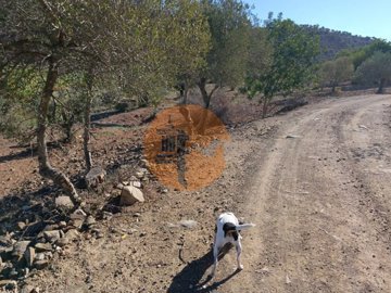 id3f897001-0000-0500-0000-000014f84dd9