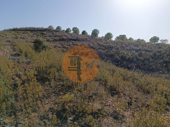 Image No.13-Terrain à vendre à Castro Marim