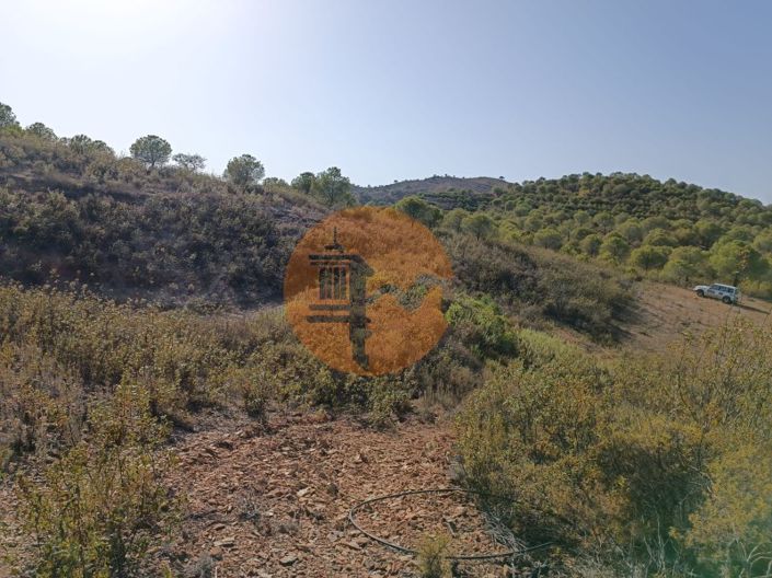 Image No.14-Terrain à vendre à Castro Marim