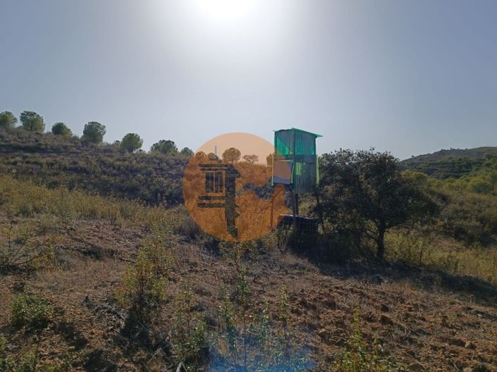 Image No.18-Terrain à vendre à Castro Marim