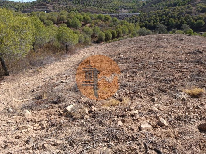 Image No.19-Terrain à vendre à Castro Marim