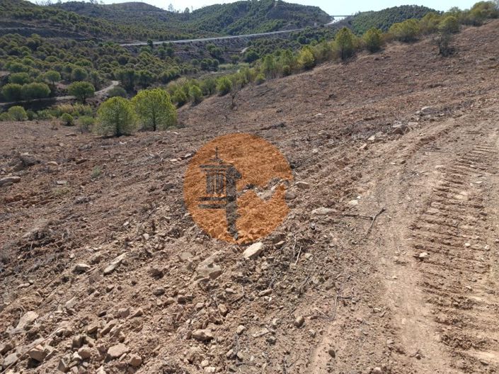 Image No.22-Terrain à vendre à Castro Marim