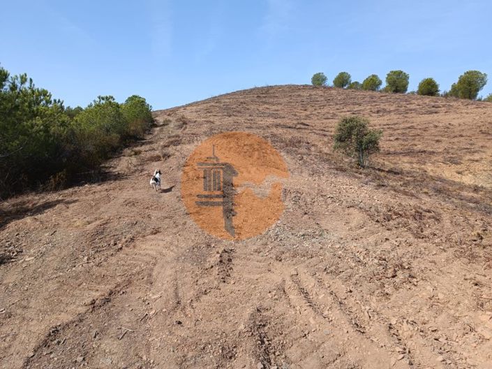 Image No.29-Terrain à vendre à Castro Marim