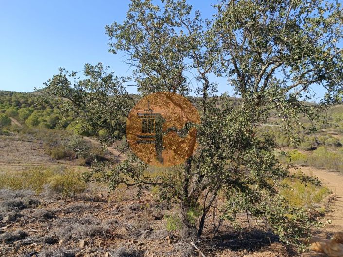 Image No.3-Terrain à vendre à Castro Marim