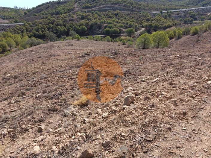 Image No.31-Terrain à vendre à Castro Marim