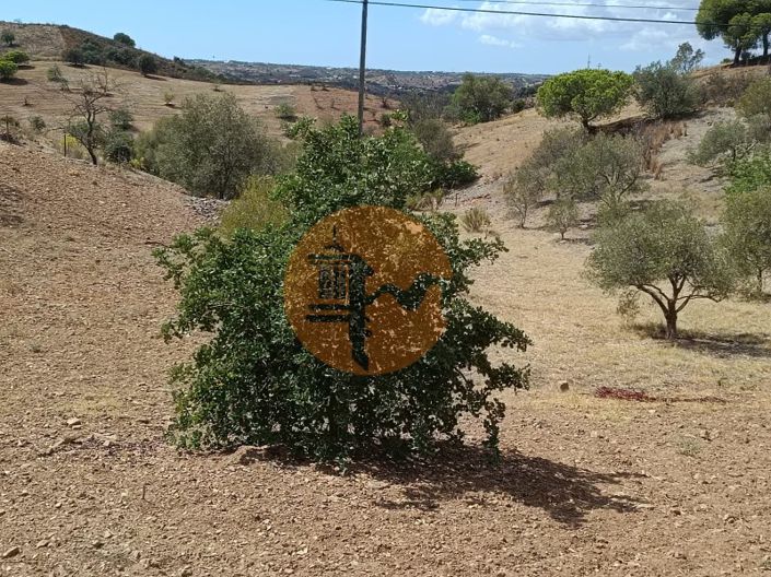 Image No.35-Terrain à vendre à Castro Marim