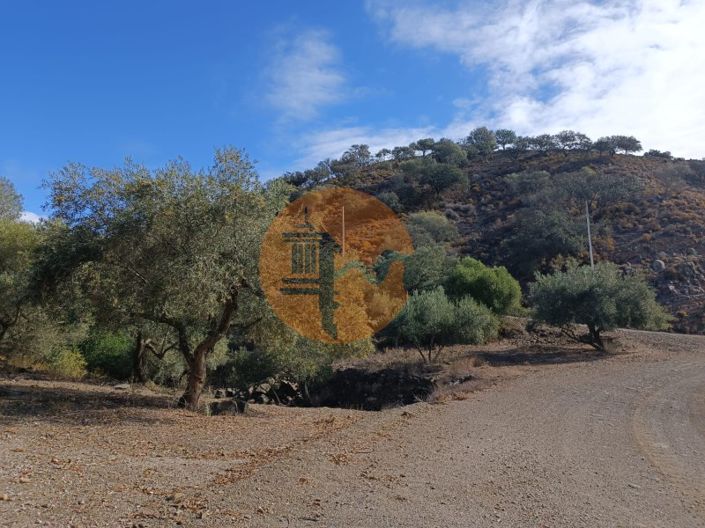 Image No.1-Plot for sale