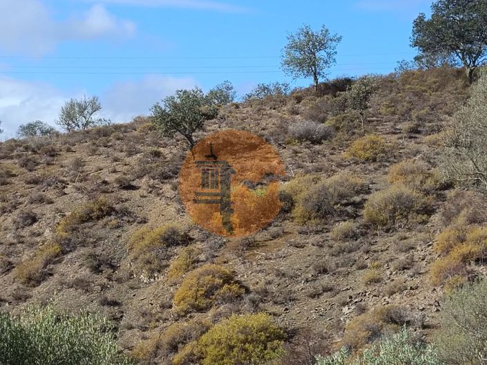 Image No.13-Plot for sale