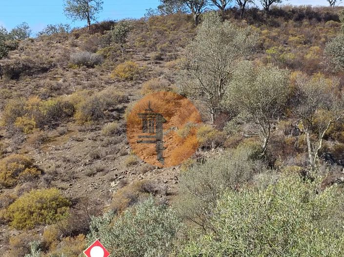 Image No.14-Plot for sale