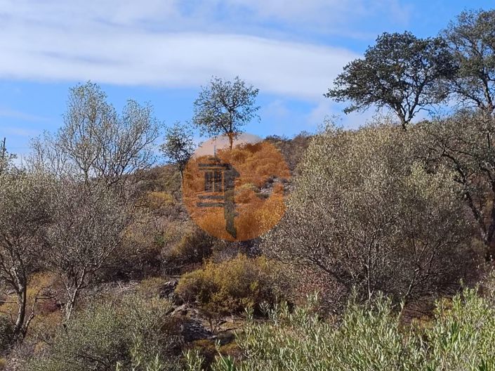 Image No.18-Terrain à vendre à Castro Marim