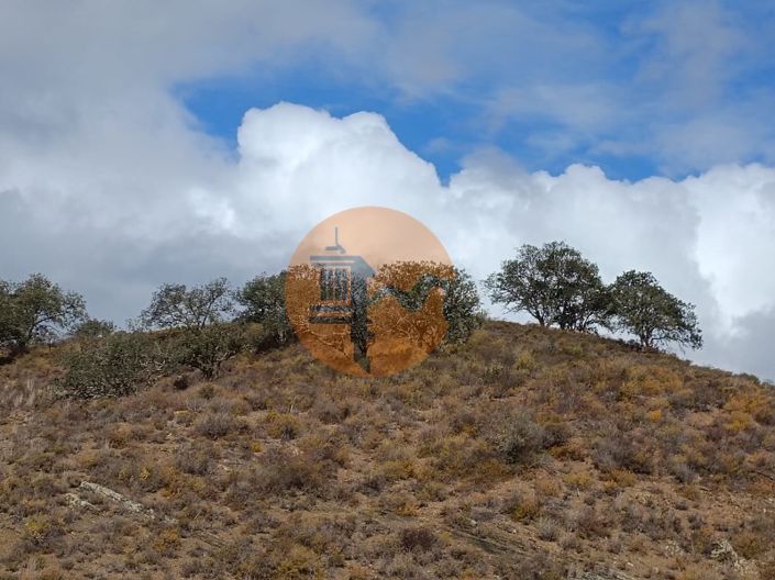 Image No.23-Plot for sale