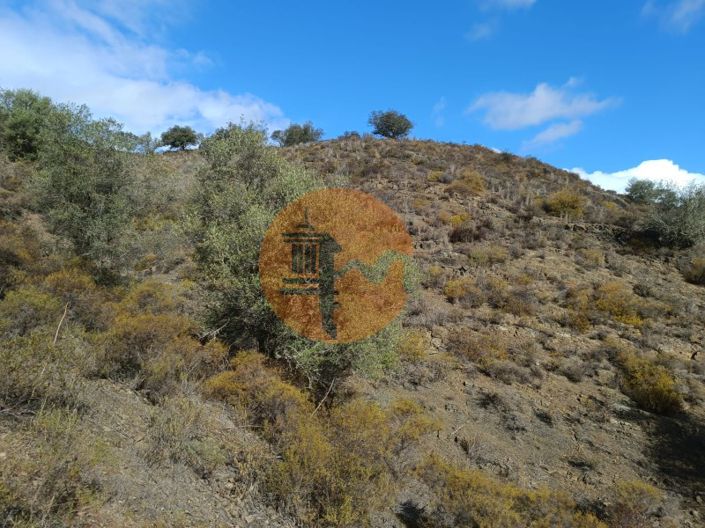 Image No.28-Plot for sale