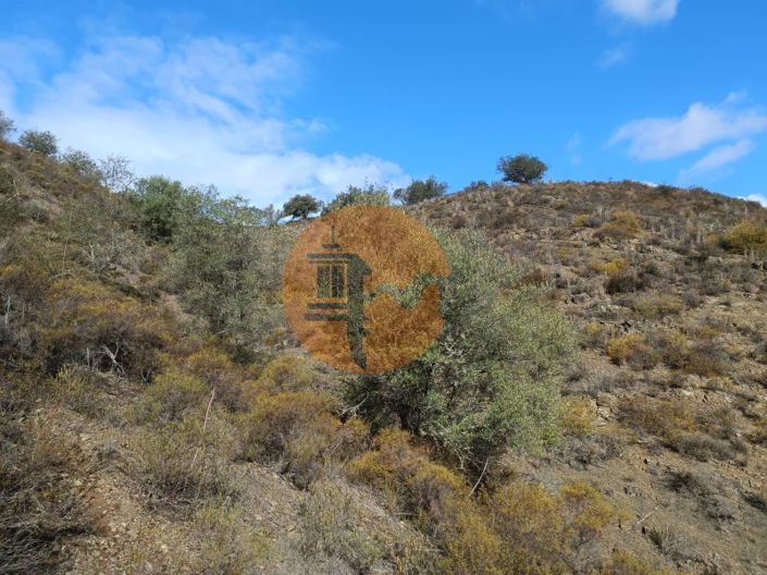 Image No.31-Plot for sale