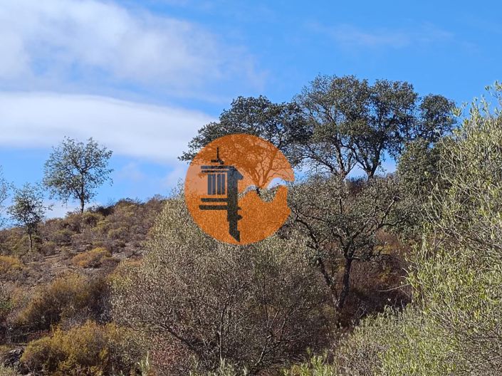 Image No.4-Plot for sale