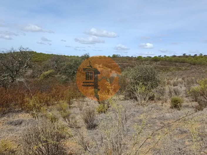 Image No.14-Plot for sale